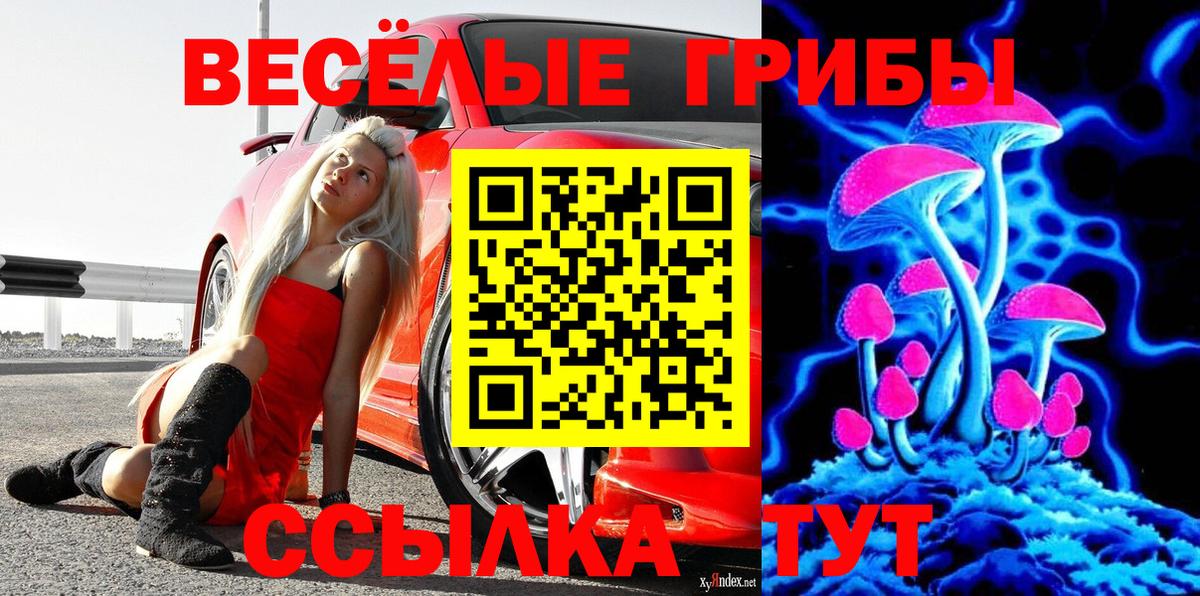 Южно-Сахалинск  где продают   Вход с VPN  Псилоцибиновые грибы прущие грибы 